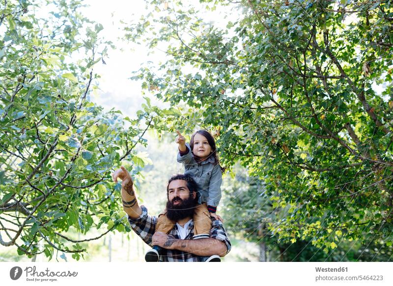 Father with kid on his shoulders in an orchard human human being human beings humans person persons caucasian appearance caucasian ethnicity european 2 2 people