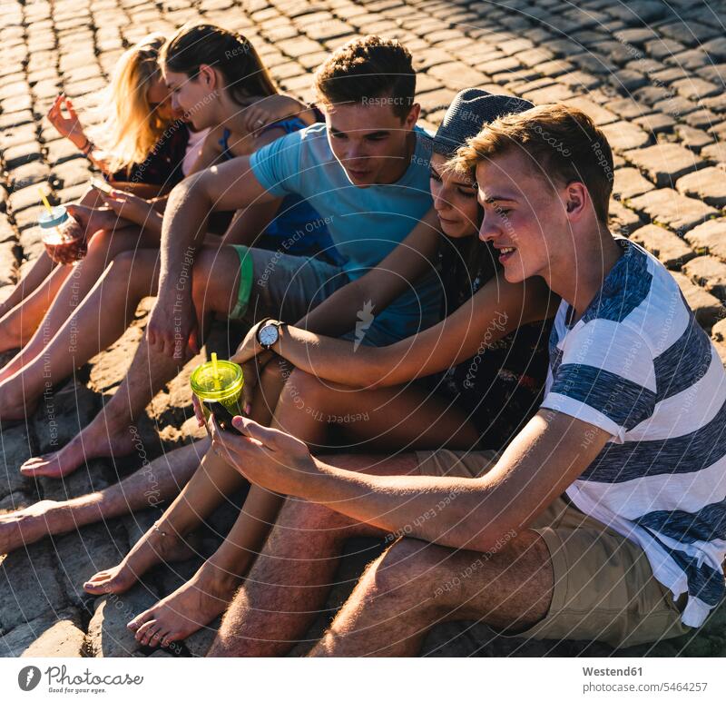 Group of friends sitting on cobblestones with refreshing drinks and cell phones mate cobblestone pavement soft drink soft drinks group of people
