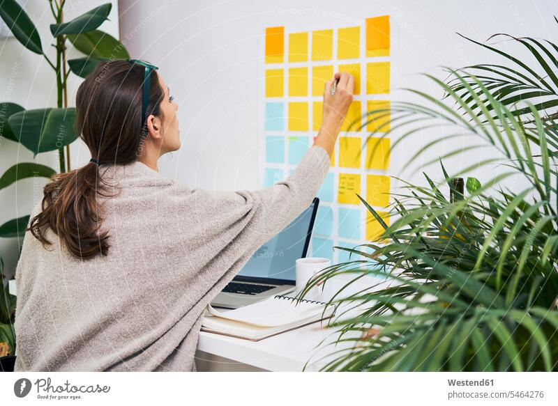 Young woman with laptop on desk working with adhesive notes on the wall memo memos females women walls Laptop Computers laptops notebook desks At Work Adults