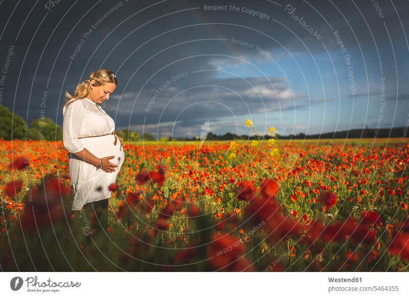 Pregnant woman with hands on stomach standing amidst poppies against cloudy sky color image colour image Germany leisure activity leisure activities free time