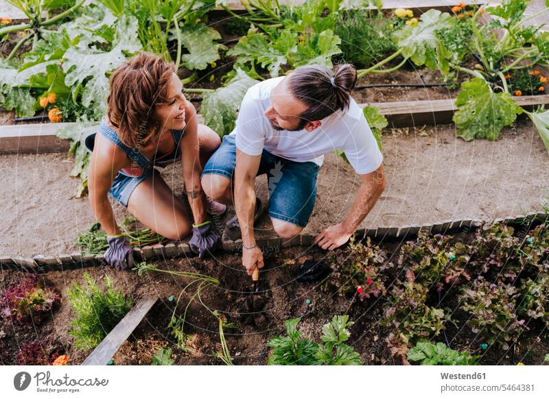 Smiling couple looking at each other while planting in vegetable garden color image colour image Spain casual clothing casual wear leisure wear casual clothes