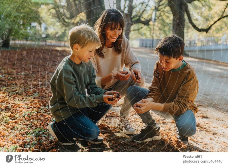 Mother and sons collecting chestnuts in public park color image colour image outdoors location shots outdoor shot outdoor shots day daylight shot daylight shots