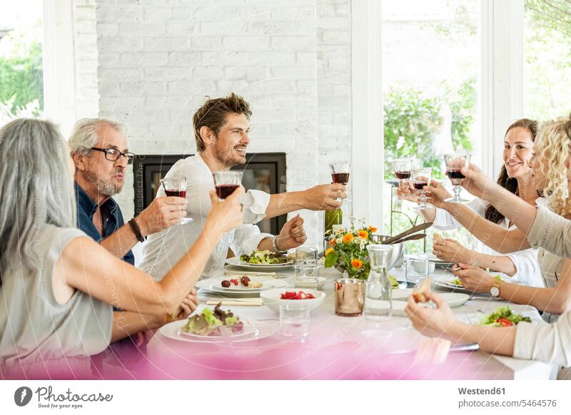 Happy family celebrating together, clinking glasses Germany quality of life Quality Time socializing sociability companionable socialising friends