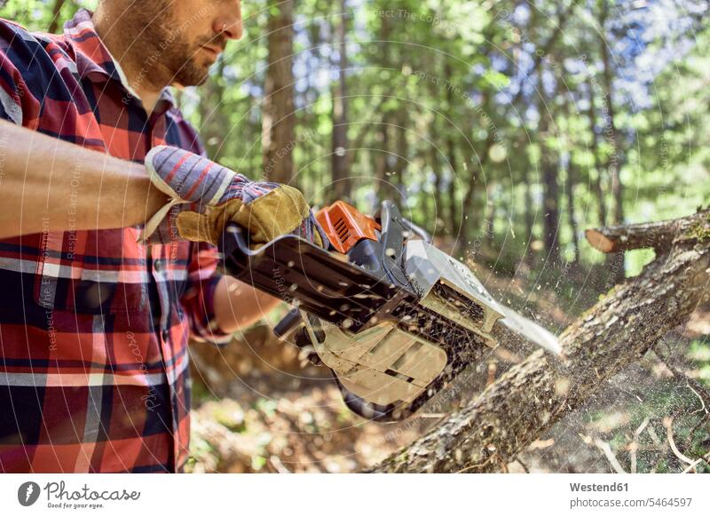 Lumberjack cutting branch with chainsaw in forest color image colour image outdoors location shots outdoor shot outdoor shots day daylight shot daylight shots