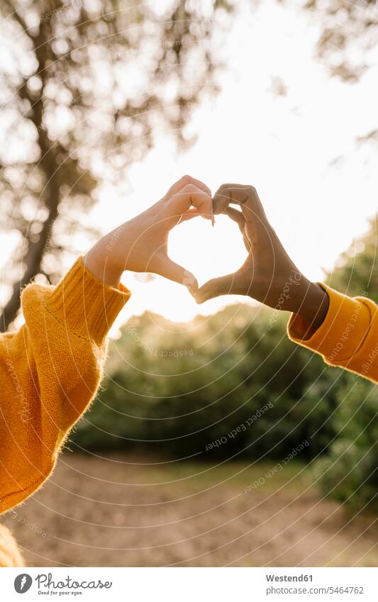 Couple making heart shape with hands at forest color image colour image outdoors location shots outdoor shot outdoor shots Spain casual clothing casual wear