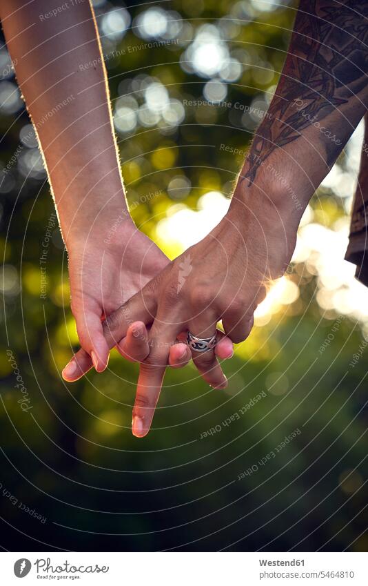 Intertwined hands of a young couple holding hands hand in hand young couples young twosome young twosomes park parks adult couple adult couples partnership