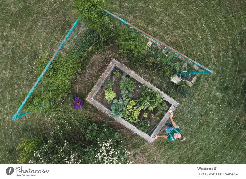 Aerial view of woman standing by raised bed on grassy land in yard color image colour image Austria casual clothing casual wear leisure wear casual clothes