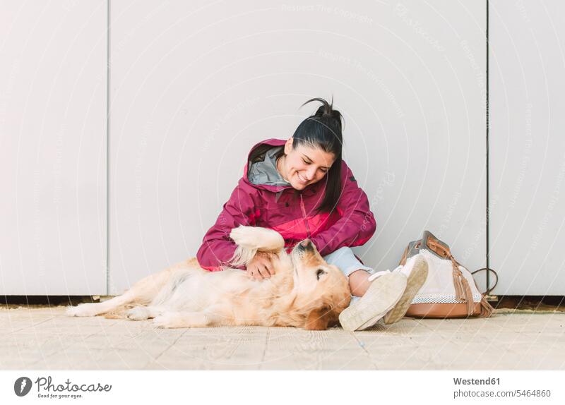 Happy young woman stroking and playing with her golden retriever dog dogs Canine happiness happy females women petting pets animal creatures animals Adults