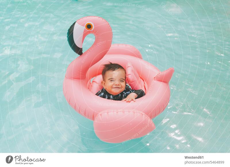 Carefree baby boy in pink flamingo float in swimming pool human human being human beings humans person persons caucasian appearance caucasian ethnicity european