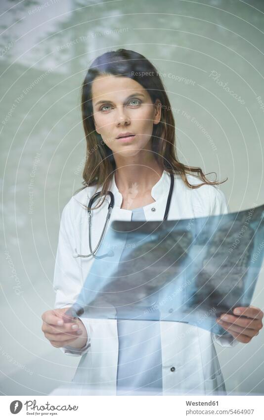 Portrait of female doctor with x-ray image behind windowpane Occupation Work job jobs profession professional occupation windows panes window glass