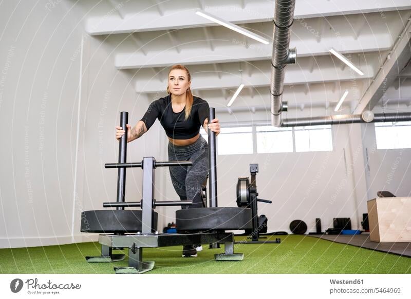 Woman pushing weight sled at gym gyms Health Club woman females women fitness sport sports Adults grown-ups grownups adult people persons human being humans
