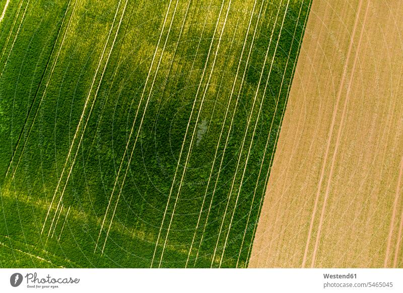 Germany, Rhineland-Palatinate, Gabsheim, Helicopter view of green countryside field in summer outdoors location shots outdoor shot outdoor shots day