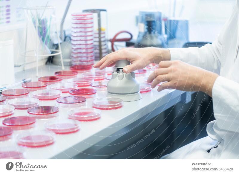 Petri dishes on lab table with punching machine laboratory workplace work place place of work Table Tables petri dish petri dishes working At Work examining