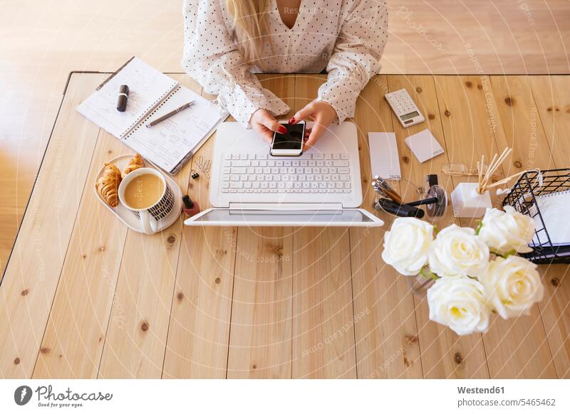 Young woman sitting at desk, using laptop use Coffee desks Seated businesswoman businesswomen business woman business women office offices office room