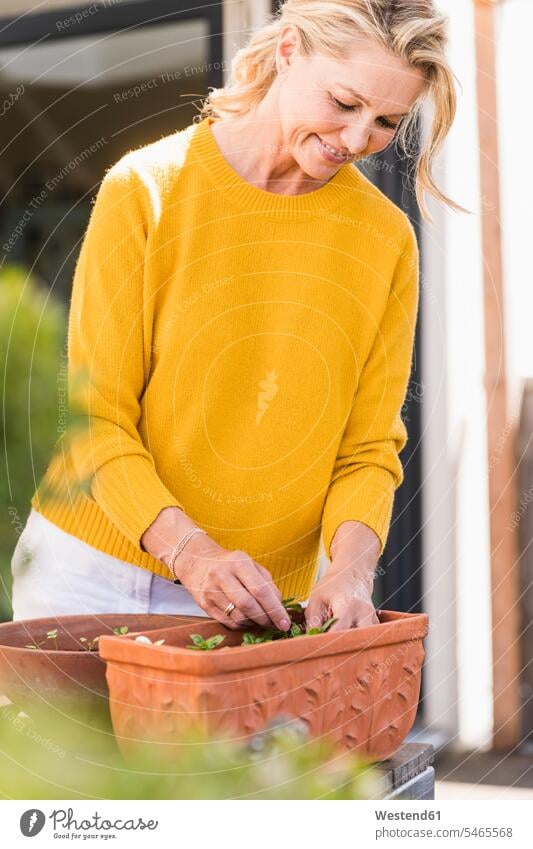 Smiling mature woman gardening on terrace jumper sweater Sweaters relax relaxing smile delight enjoyment Pleasant pleasure indulgence indulging savoring happy