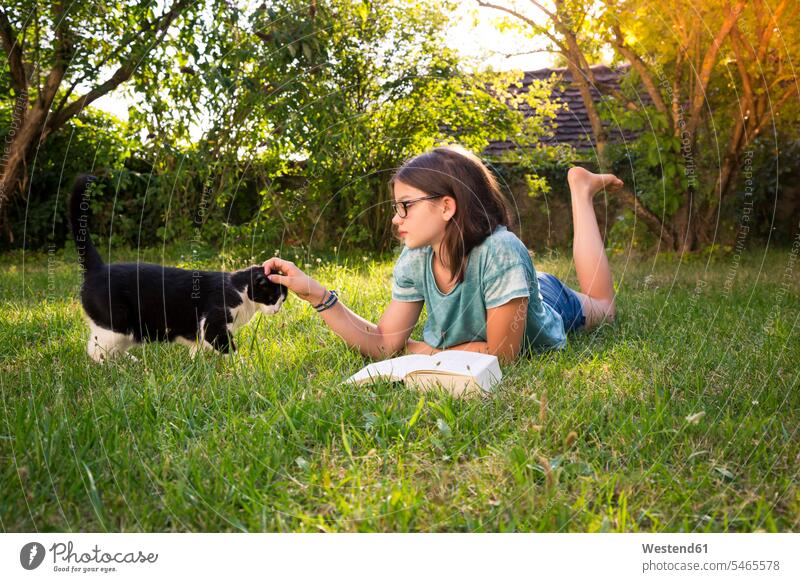 Girl with book lying on a meadow in garden tickling cat cats girl females girls gardens domestic garden meadows books pets animal creatures animals child