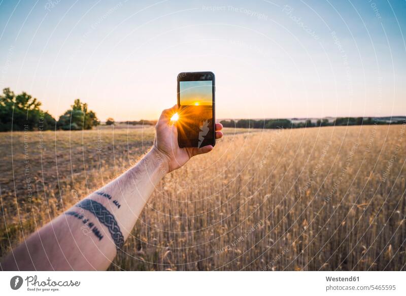Man taking photo of sunset and fields with smartphone photograph photographs photos sunsets sundown Field Fields farmland man men males Smartphone iPhone