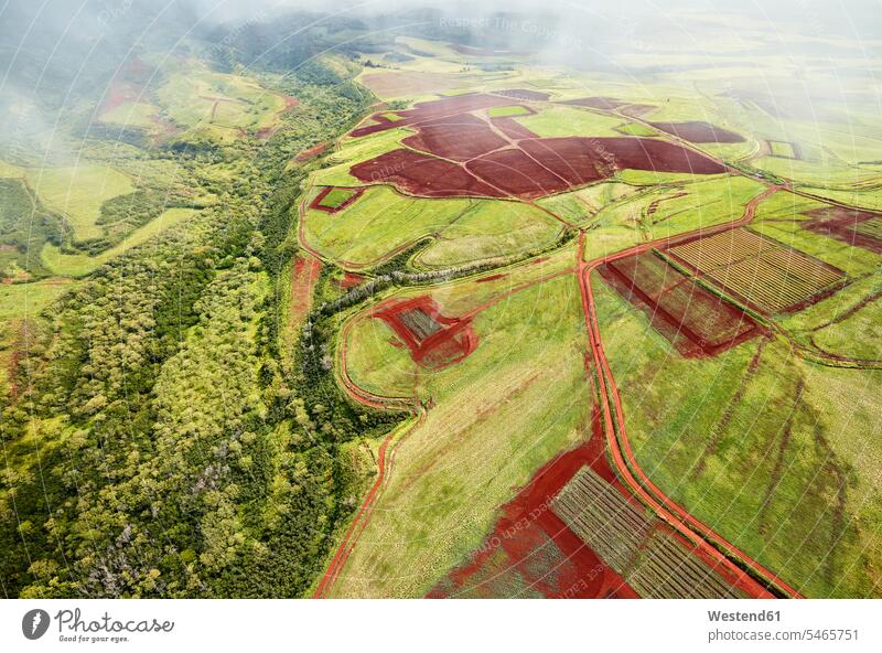 USA, Hawaii, Kauai, field landscape, aerial view View Vista Look-Out outlook Travel cultivation tilth green landscapes scenery terrain Travel destination
