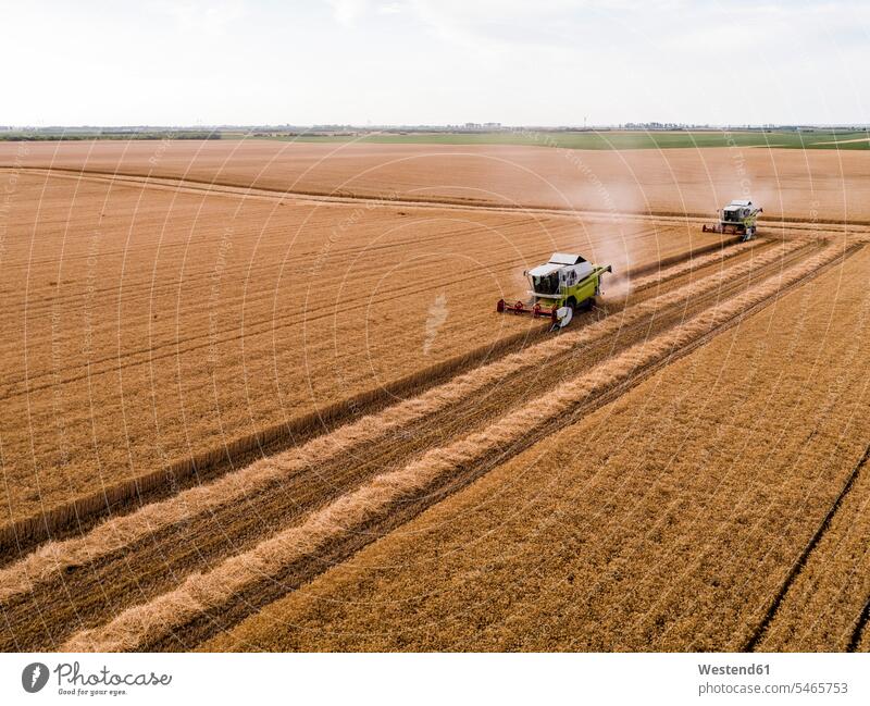 Serbia, Vojvodina. Combine harvester on a field of wheat, aerial view Wheat outdoors outdoor shots location shot location shots cropland cultivation area