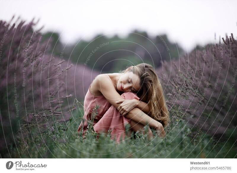 Woman sitting in lavender field human human being human beings humans person persons caucasian appearance caucasian ethnicity european 1 one person only