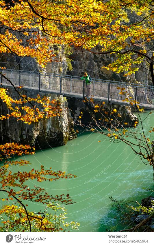 Austria, Tyrol, hiker on suspension bridge looking at Tiroler Ache in autumn Grossache man men males nature experience bridges leisure free time leisure time