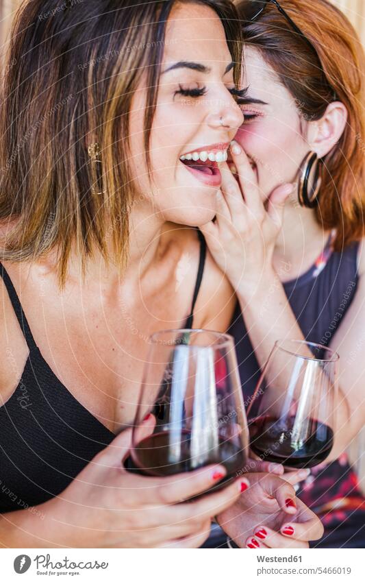 Two happy women having a glass of red wine friends mate female friend heads faces human face human faces Drinking Glass Drinking Glasses whisper hear Seated sit