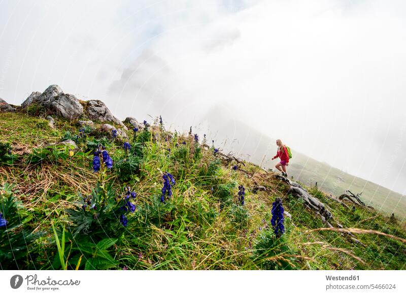Austria, Salzburg State, Filzmoos, Female hiker Travel mountaineering female mountaineer fog foggy misty female hiker female wanderers uphill climber alpinists