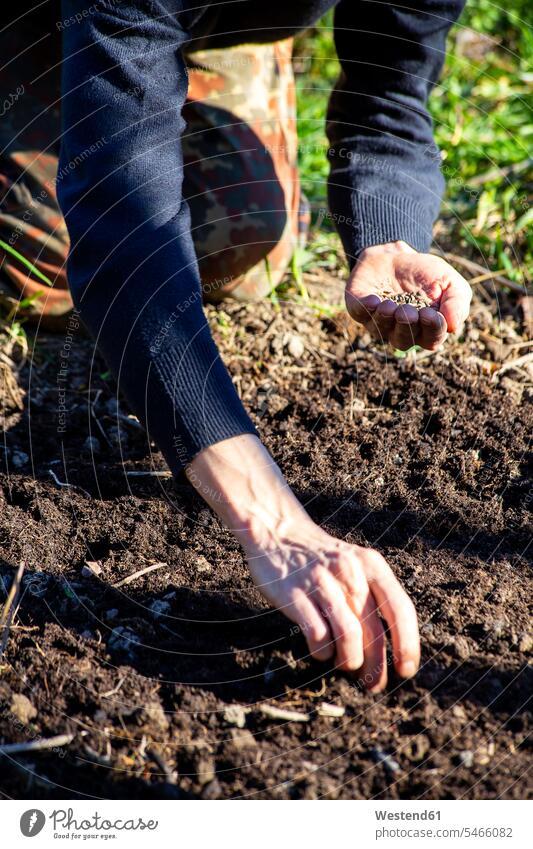 Midsection of man sowing seeds in soil at garden color image colour image outdoors location shots outdoor shot outdoor shots day daylight shot daylight shots