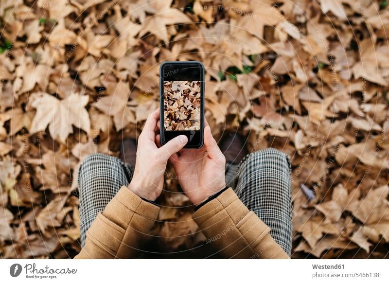 Close-up of man taking cell phone picture of autumn leaves mobile phone mobiles mobile phones Cellphone cell phones photographing men males autumn leaf