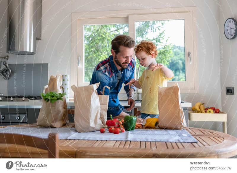 Father cleaning son's clothes while standing by dining table with vegetables at kitchen color image colour image indoors indoor shot indoor shots interior