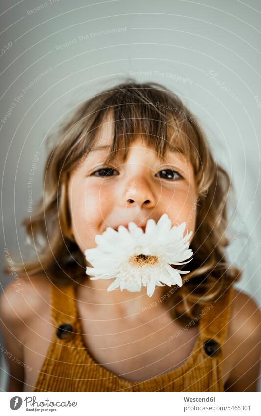 Cute girl carrying flower in mouth against wall at home color image colour image indoors indoor shot indoor shots interior interior view Interiors day