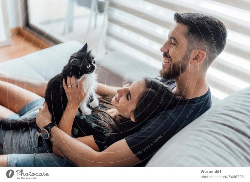 Happy couple spending leisure time with cat while sitting at home color image colour image indoors indoor shot indoor shots interior interior view Interiors day