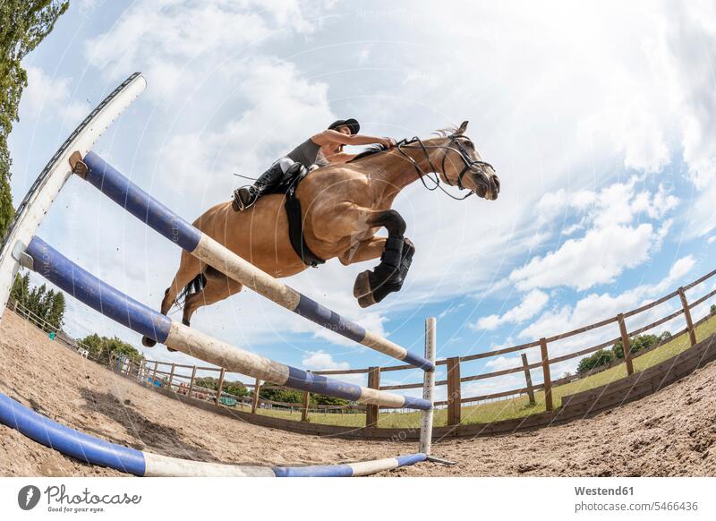 Young woman riding a horse and jumping over hurdle horse riding ride jumps Leaping Accomplish Accomplishment Achieve achieving free time leisure time