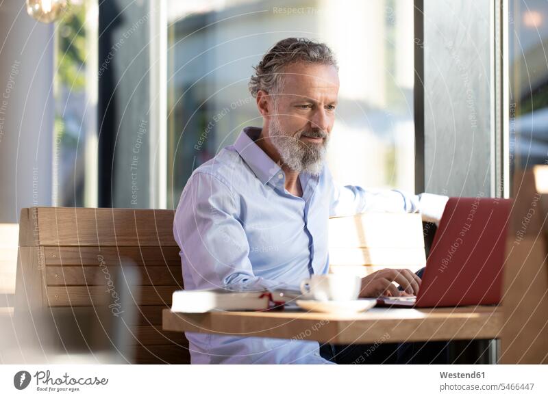 Mature man using laptop in a cafe Occupation Work job jobs profession professional occupation business life business world business person businesspeople