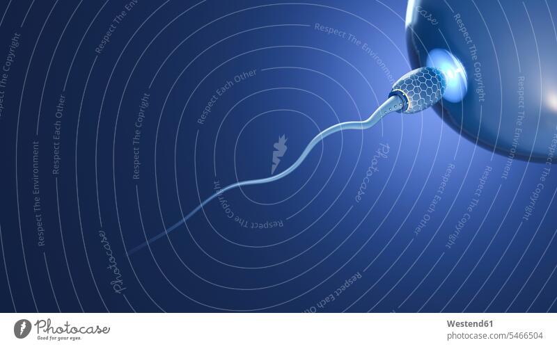 Futuristic sperm reaching egg cell, 3d rendering blue background blue backgrounds brightness glare luminescent futuristic the future visionary research