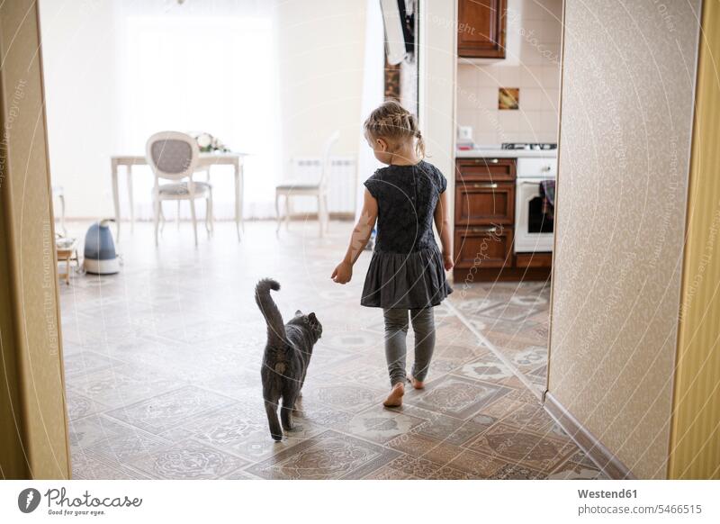 Girl walking with British Shorthair cat at home color image colour image indoors indoor shot indoor shots interior interior view Interiors day daylight shot