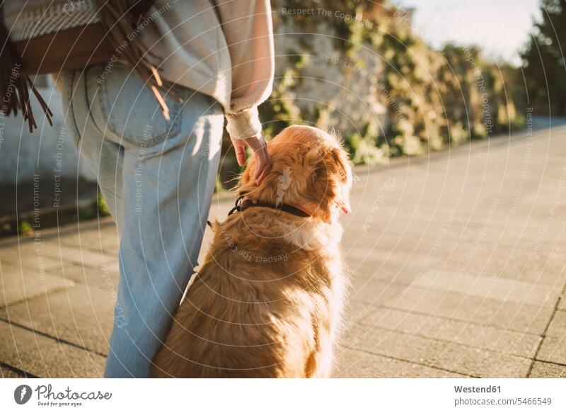 Woman with her golden retriever dog on a path woman females women dogs Canine trail paths Adults grown-ups grownups adult people persons human being humans