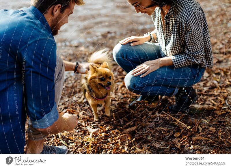 Young couple with dog in a park animals creature creatures domestic animal pet Canine dogs relax relaxing enjoy enjoyment indulgence indulging savoring happy