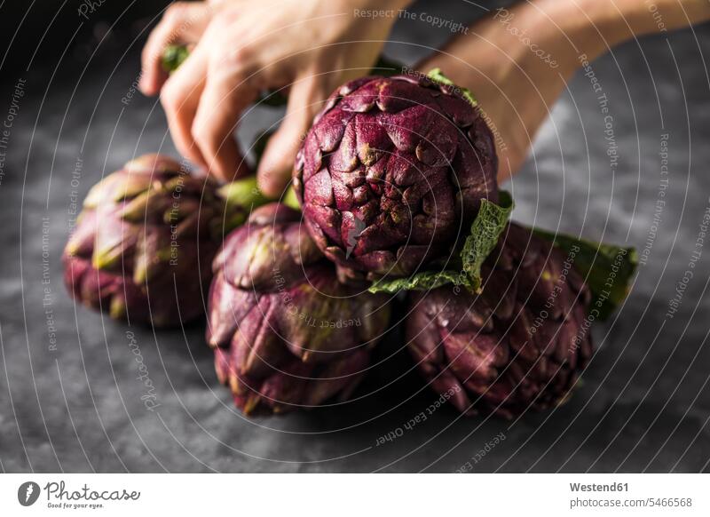 Woman's hands picking up artichokes, close-up human human being human beings humans person persons 1 one person only only one person adult grown-up grown-ups