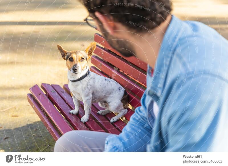 Portrait of dog sitting on park bench looking at his owner single singles celibate solitary people celibates solitary person face to face Facing Each Other
