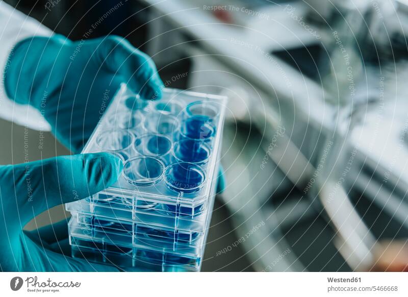 Scientist hand holding petri dish tray while standing at laboratory color image colour image indoors indoor shot indoor shots interior interior view Interiors