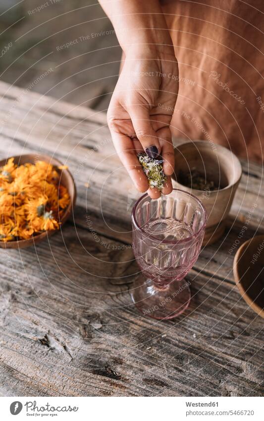 Hand of woman pouring fresh flowers and herbs in tea glass on wooden table color image colour image indoors indoor shot indoor shots interior interior view