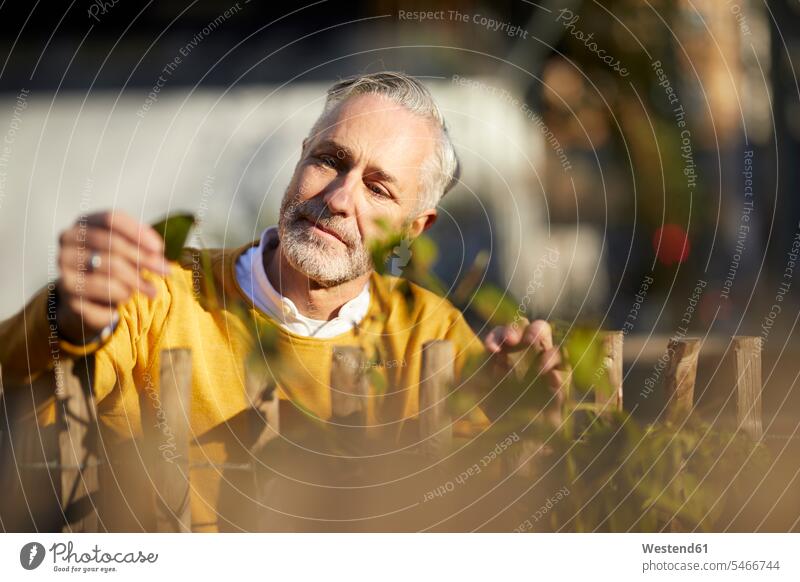Portrait of mature man looking at plant human human being human beings humans person persons celibate celibates singles solitary people solitary person jumper