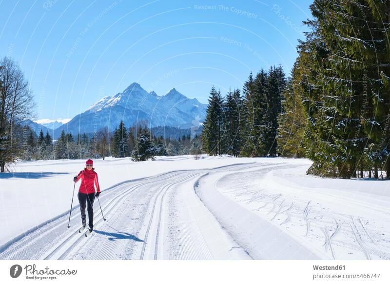 Germany, Bavaria, Wallgau, Isar Valley, Canada trail, cross country skier in winter landscape woman females women Adults grown-ups grownups adult people persons