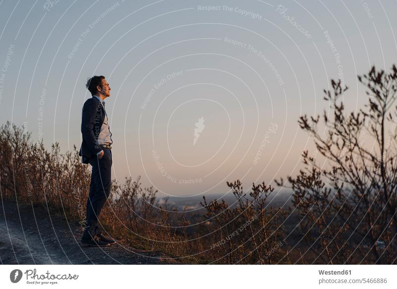 Mature businessman standing on a disused mine tip at sunset looking at view business life business world business person businesspeople Business man