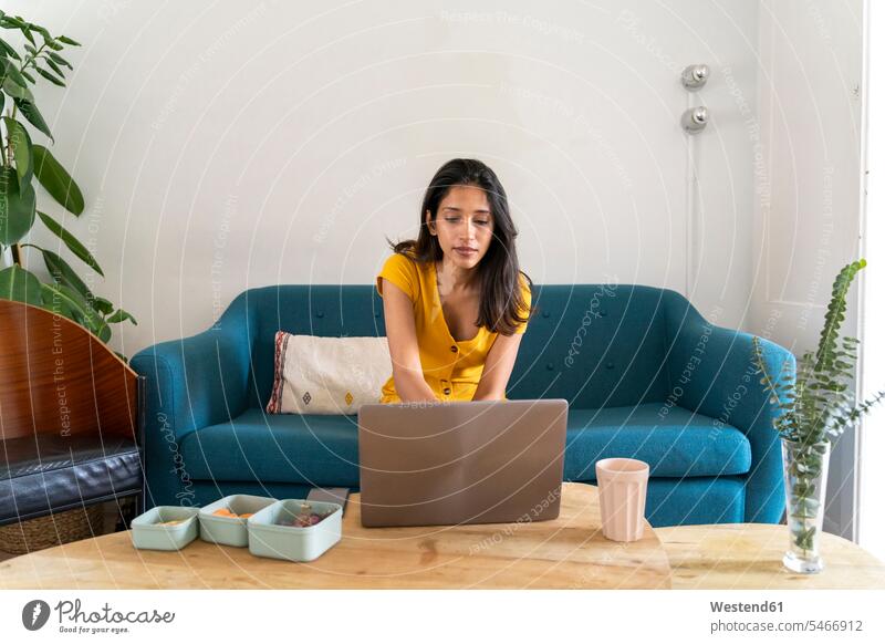Young woman sitting on couch using laptop Occupation Work job jobs profession professional occupation business life business world business person