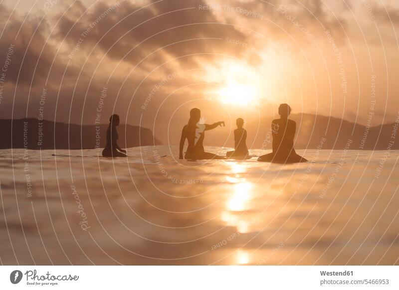 Indonesia, Lombok, group of surfers sitting on surfboards at sunset Sea ocean sunsets sundown Floating On Water floating Seated female surfer female surfers
