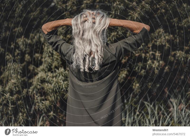 Rear view of senior woman with hands in her white hair human human being human beings humans person persons caucasian appearance caucasian ethnicity european 1