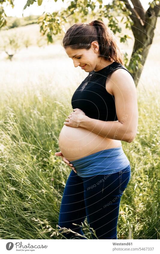 Young pregnant woman holding baby belly, standing on a meadow upper part of the body bellies stomach stomachs touch smile delight enjoyment Pleasant pleasure