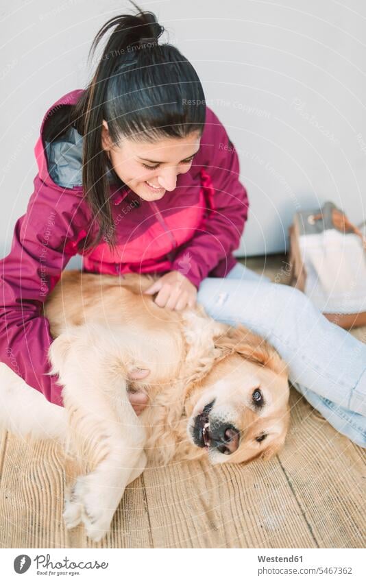 Happy young woman stroking and playing with her golden retriever dog dogs Canine happiness happy females women petting pets animal creatures animals Adults